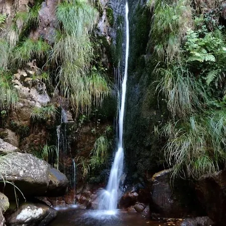 Lägenhet Casa Pascual *